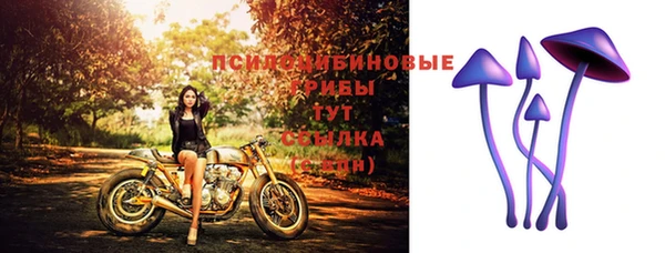 бошки Куйбышев