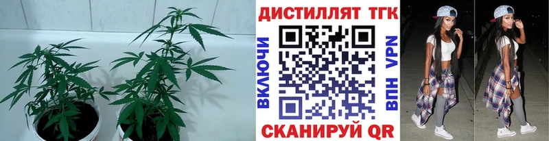 ТГК жижа  Купить  Березники 