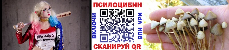 Купить  Березники  Галлюциногенные грибы GOLDEN TEACHER 